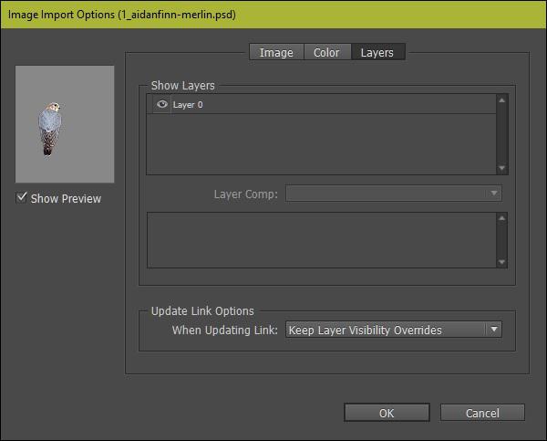 Image import Option