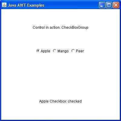 AWT CheckBoxGroup
