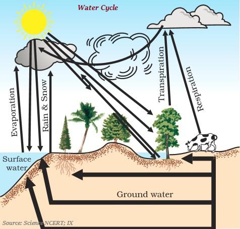 Water Cycle