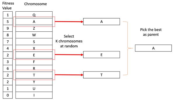 Tournament Selection