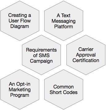 SMS Campaign Techniques