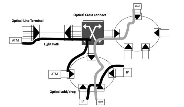 Optical Layer Survivability3