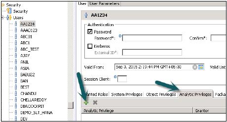 Adding Analytic Privileges to User Roles