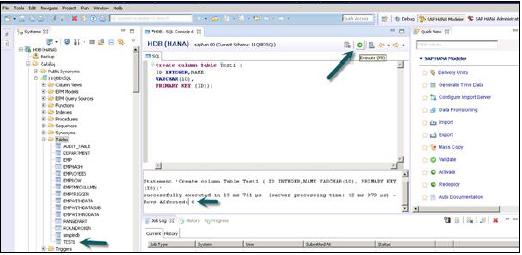 Execute SQL Statement