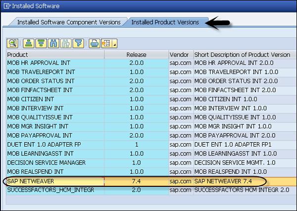 Product Version SAP NW