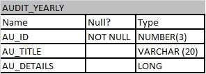 Table AUDIT_YEARLY