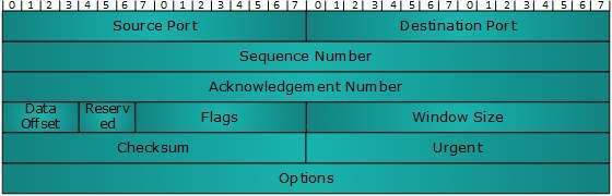 TCP Header