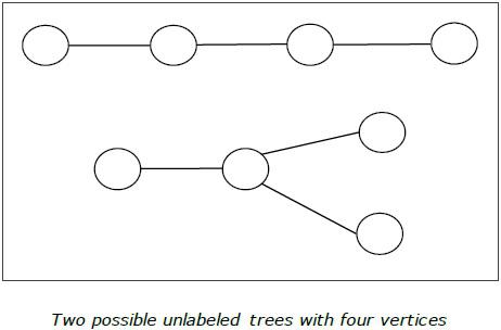 Two possible unlabeled trees with four vertices