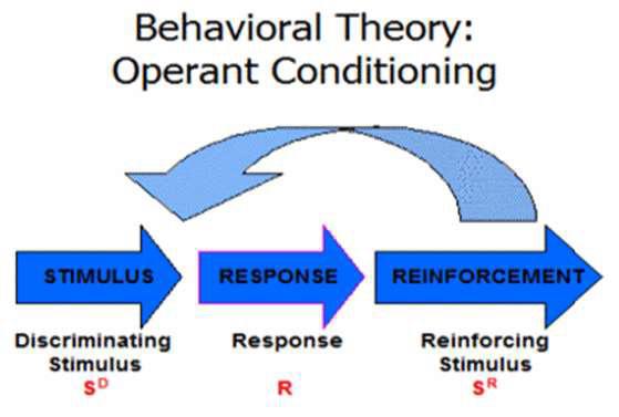 Behavioral Theory