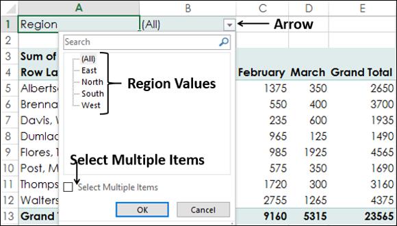 Select Multiple Items