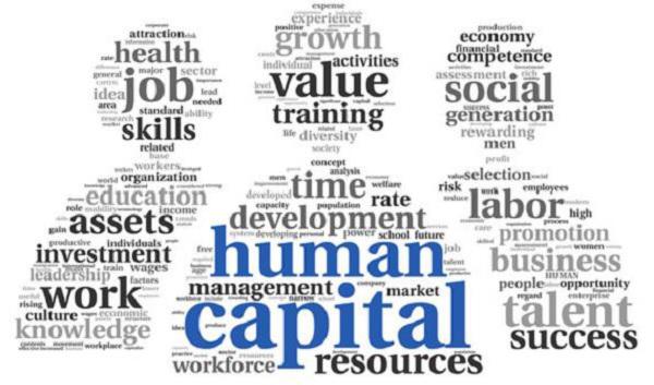 Human Capital