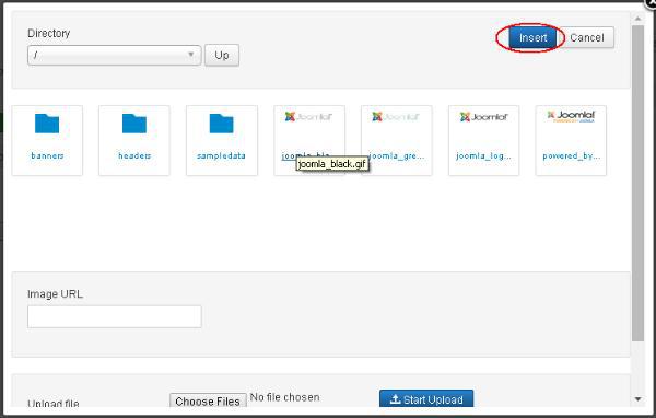Joomla Customize Logo