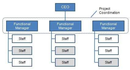 Functional Structure