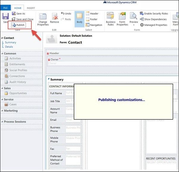 Form Programming Publish Customizations