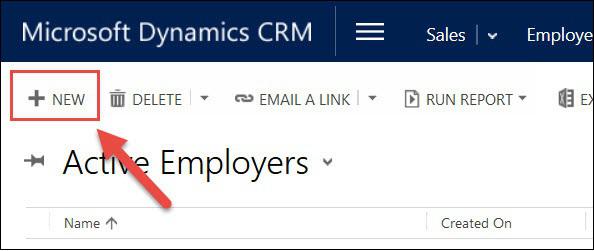 Mscrm Create Records Step 1