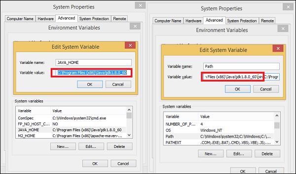 Environment Variable