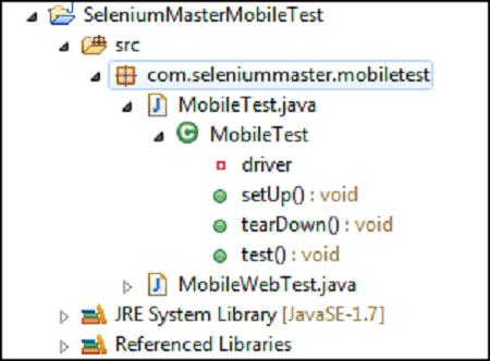 Selenium Master