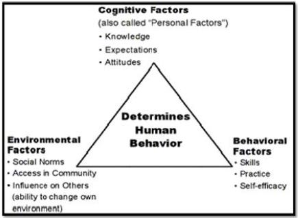 Social Learning Theory