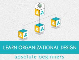 Organizational Design Tutorial