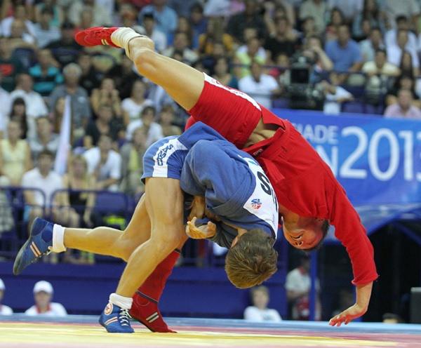 Freestyle Sambo