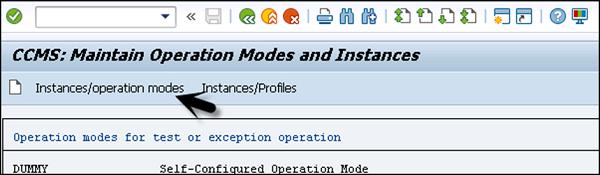 SAP Operation Modes
