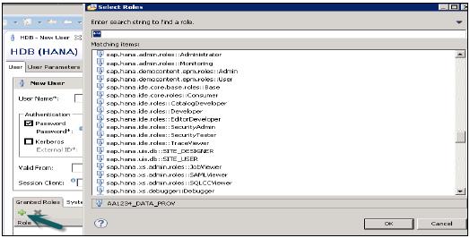 Granted Roles to Users