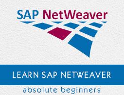 SAP NetWeaver