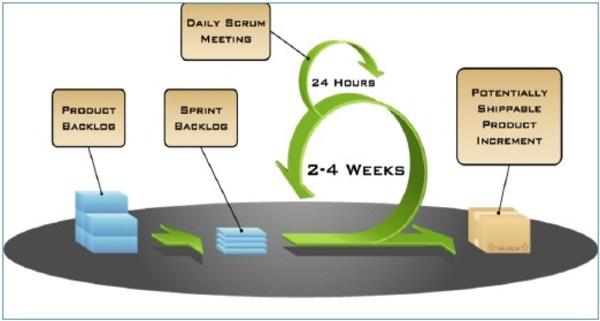 Scrum Master Service Organization