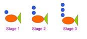 Finding patterns in shapes10